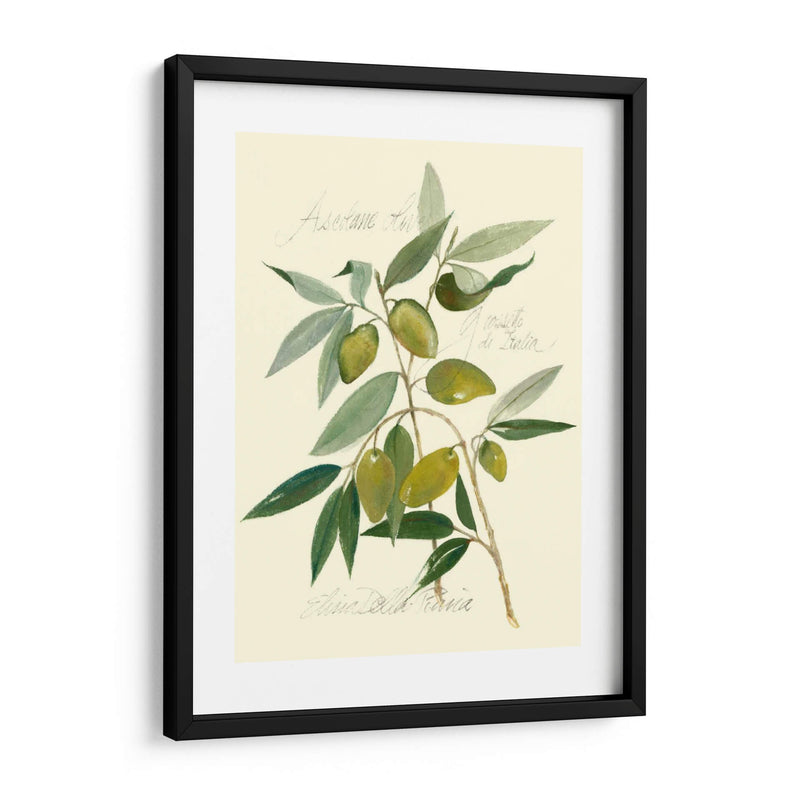 Aceitunas Ascolane - Elissa Della-Piana | Cuadro decorativo de Canvas Lab