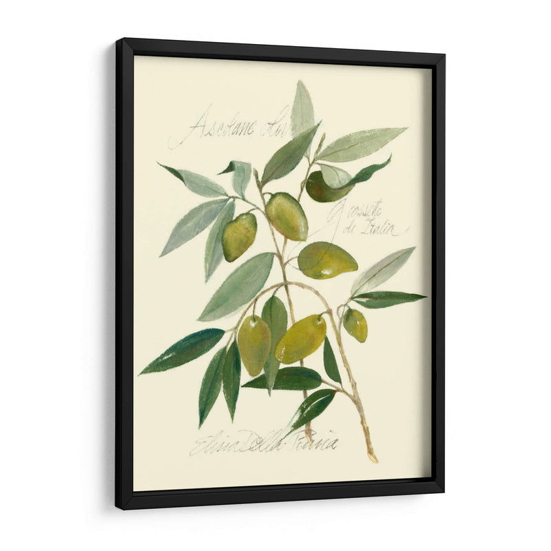 Aceitunas Ascolane - Elissa Della-Piana | Cuadro decorativo de Canvas Lab