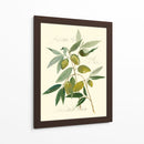 Aceitunas Ascolane - Elissa Della-Piana | Cuadro decorativo de Canvas Lab