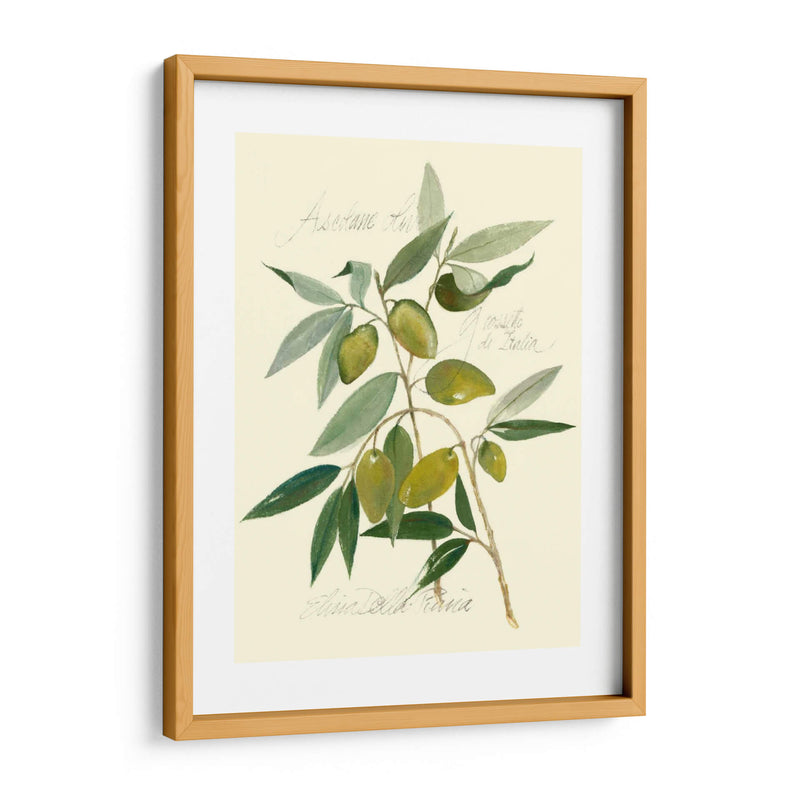 Aceitunas Ascolane - Elissa Della-Piana | Cuadro decorativo de Canvas Lab