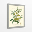 Aceitunas Ascolane - Elissa Della-Piana | Cuadro decorativo de Canvas Lab