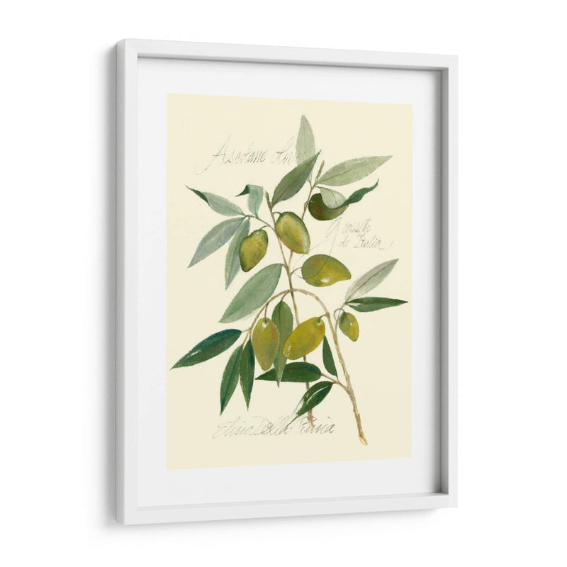 Aceitunas Ascolane - Elissa Della-Piana | Cuadro decorativo de Canvas Lab