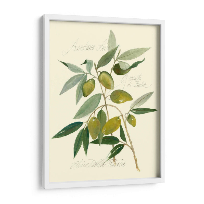 Aceitunas Ascolane - Elissa Della-Piana | Cuadro decorativo de Canvas Lab