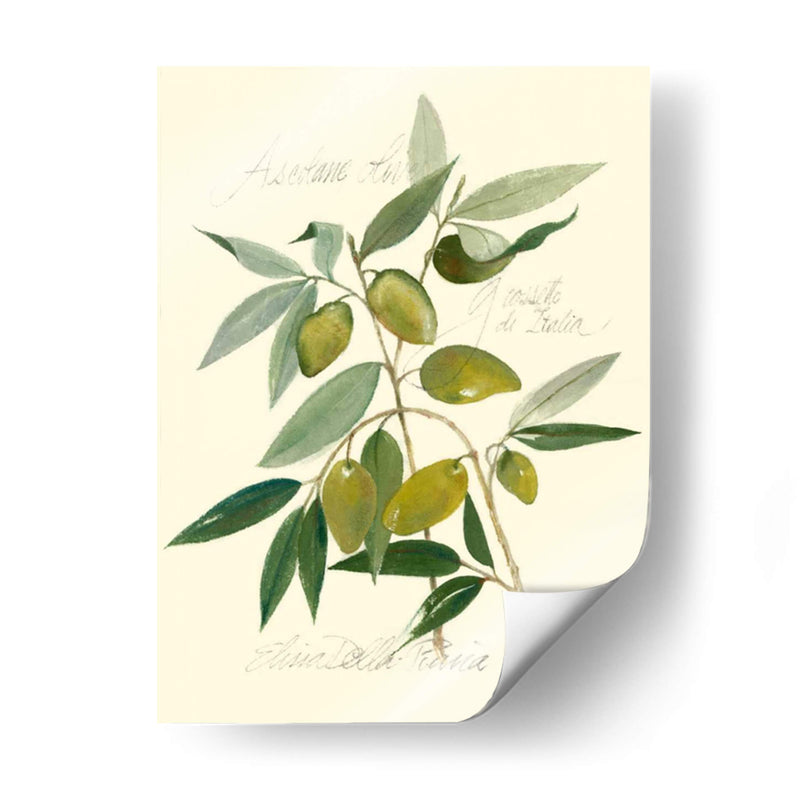 Aceitunas Ascolane - Elissa Della-Piana | Cuadro decorativo de Canvas Lab