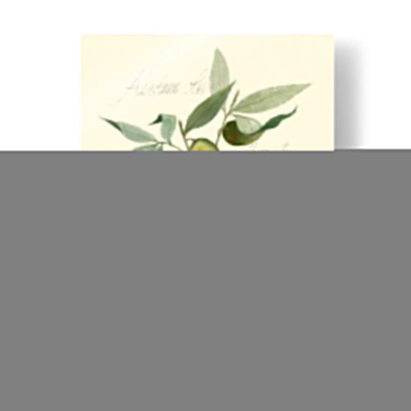 Aceitunas Ascolane - Elissa Della-Piana | Cuadro decorativo de Canvas Lab