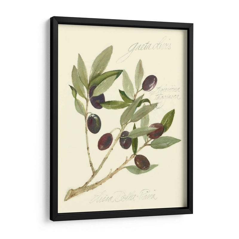 Aceitunas Gaeta - Elissa Della-Piana | Cuadro decorativo de Canvas Lab