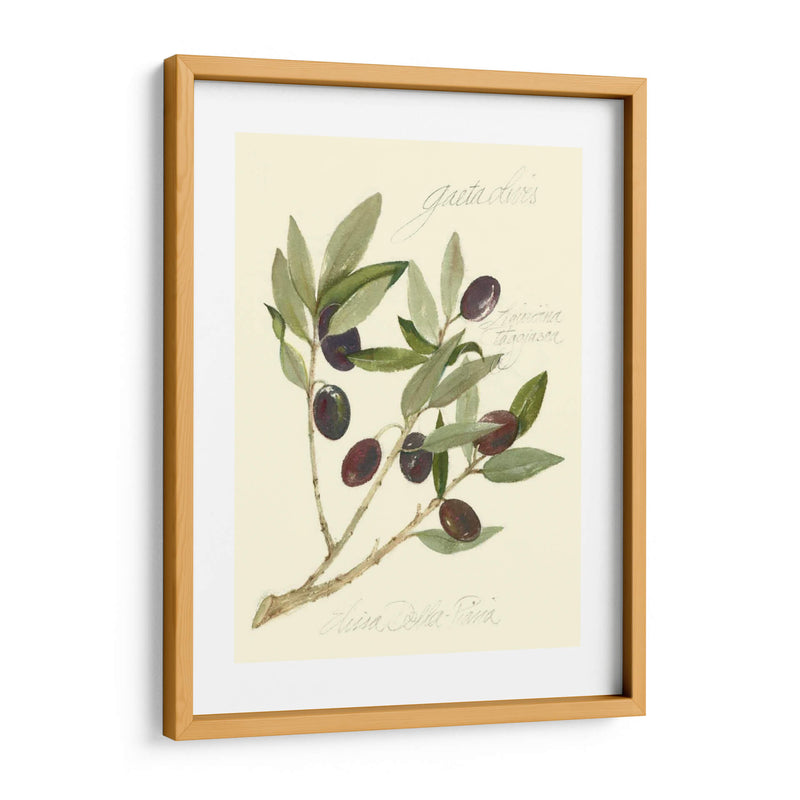 Aceitunas Gaeta - Elissa Della-Piana | Cuadro decorativo de Canvas Lab