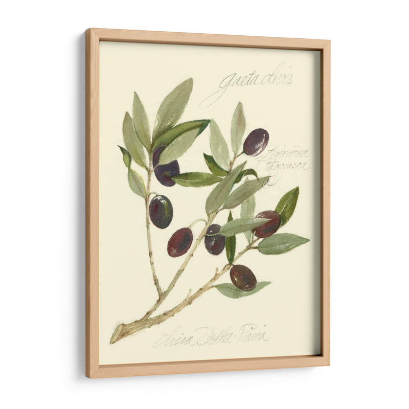 Aceitunas Gaeta - Elissa Della-Piana | Cuadro decorativo de Canvas Lab