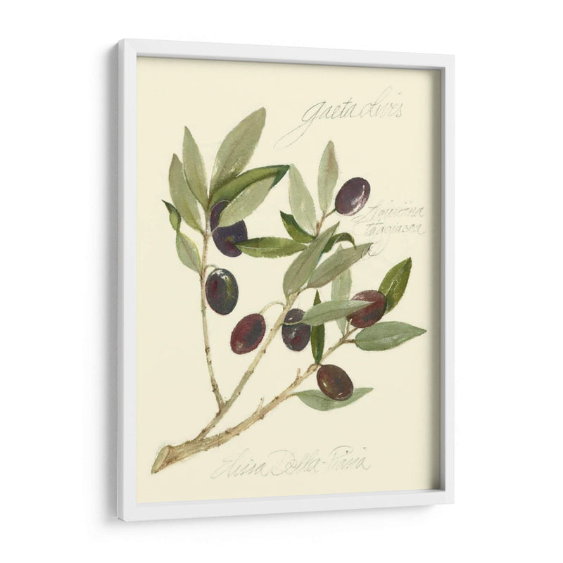 Aceitunas Gaeta - Elissa Della-Piana | Cuadro decorativo de Canvas Lab