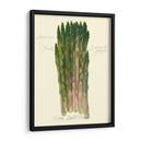 Officinalis De Espárragos - Elissa Della-Piana | Cuadro decorativo de Canvas Lab