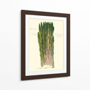Officinalis De Espárragos - Elissa Della-Piana | Cuadro decorativo de Canvas Lab