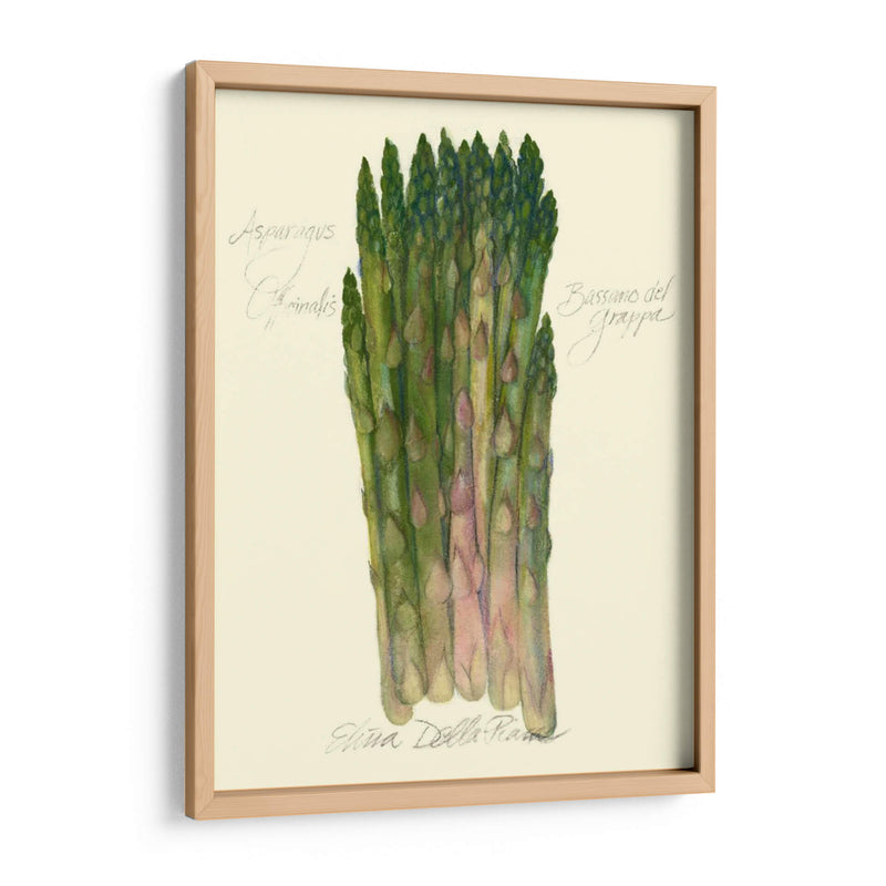 Officinalis De Espárragos - Elissa Della-Piana | Cuadro decorativo de Canvas Lab