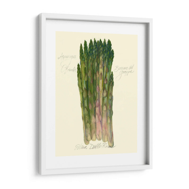 Officinalis De Espárragos - Elissa Della-Piana | Cuadro decorativo de Canvas Lab