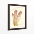 Espárragos Argenteuil - Elissa Della-Piana | Cuadro decorativo de Canvas Lab