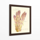 Espárragos Argenteuil - Elissa Della-Piana | Cuadro decorativo de Canvas Lab