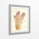 Espárragos Argenteuil - Elissa Della-Piana | Cuadro decorativo de Canvas Lab
