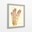 Espárragos Argenteuil - Elissa Della-Piana | Cuadro decorativo de Canvas Lab