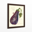 Berenjena Solanum Melongena - Elissa Della-Piana | Cuadro decorativo de Canvas Lab