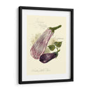 Berenjena De Berenjena - Elissa Della-Piana | Cuadro decorativo de Canvas Lab