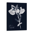 Impresiones En Indigo I - Vision Studio | Cuadro decorativo de Canvas Lab