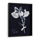 Impresiones En Indigo I - Vision Studio | Cuadro decorativo de Canvas Lab