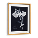 Impresiones En Indigo I - Vision Studio | Cuadro decorativo de Canvas Lab