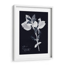 Impresiones En Indigo I - Vision Studio | Cuadro decorativo de Canvas Lab