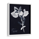 Impresiones En Indigo I - Vision Studio | Cuadro decorativo de Canvas Lab