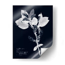 Impresiones En Indigo I - Vision Studio | Cuadro decorativo de Canvas Lab