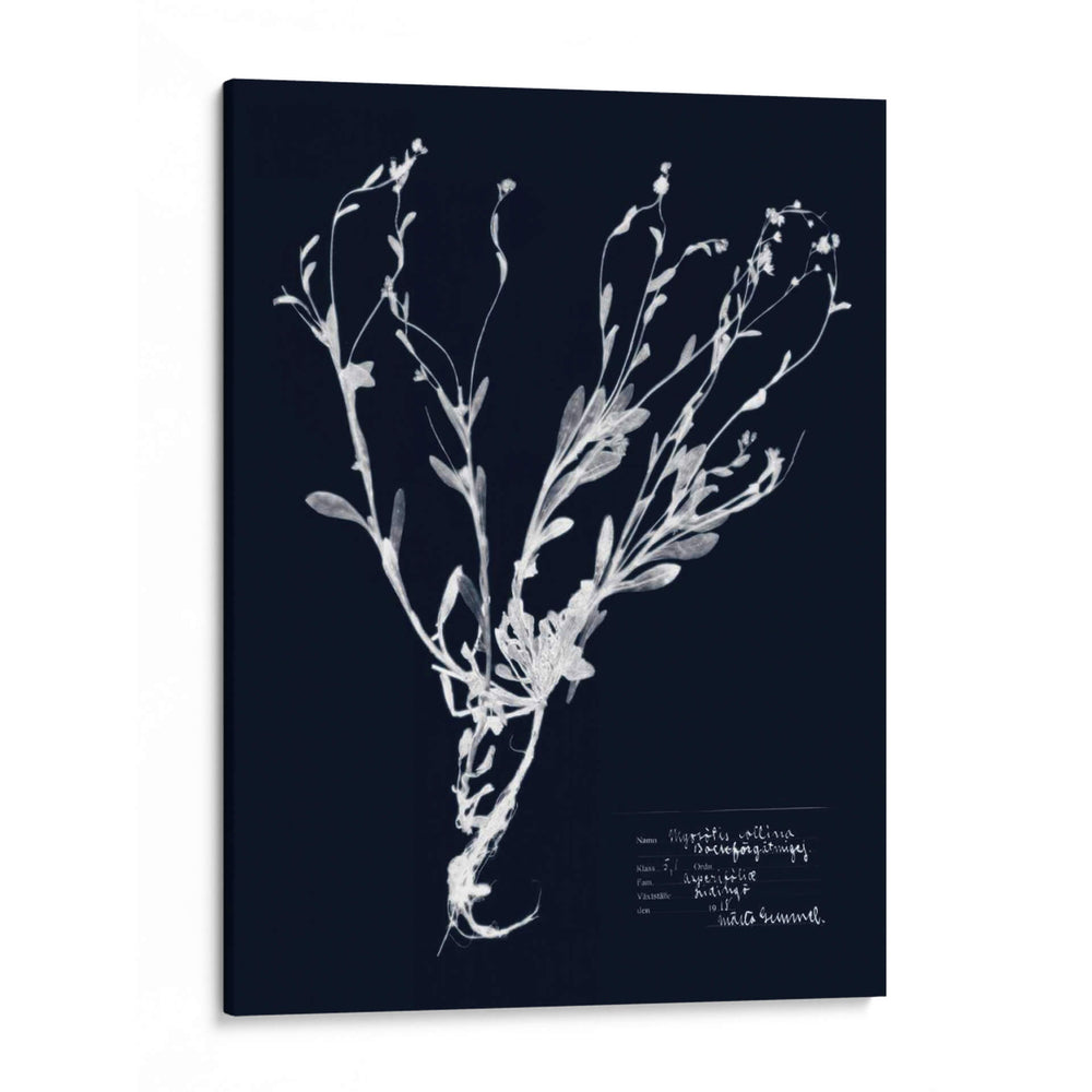 Impresiones En Indigo Ii - Vision Studio | Cuadro decorativo de Canvas Lab