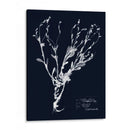 Impresiones En Indigo Ii - Vision Studio | Cuadro decorativo de Canvas Lab