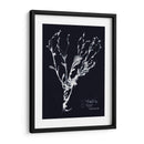 Impresiones En Indigo Ii - Vision Studio | Cuadro decorativo de Canvas Lab