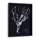 Impresiones En Indigo Ii - Vision Studio | Cuadro decorativo de Canvas Lab