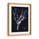 Impresiones En Indigo Ii - Vision Studio | Cuadro decorativo de Canvas Lab