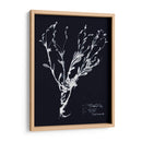 Impresiones En Indigo Ii - Vision Studio | Cuadro decorativo de Canvas Lab