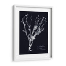 Impresiones En Indigo Ii - Vision Studio | Cuadro decorativo de Canvas Lab