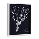 Impresiones En Indigo Ii - Vision Studio | Cuadro decorativo de Canvas Lab