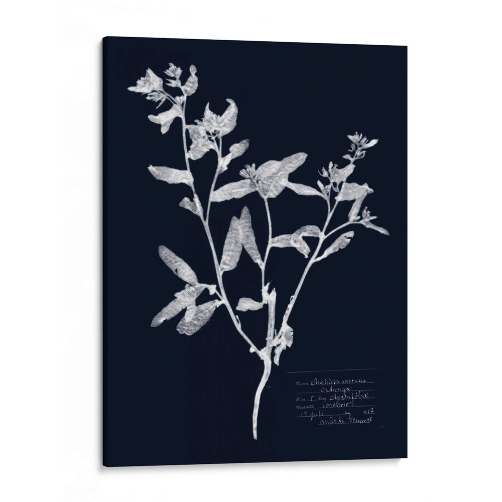 Impresiones En Indigo Iii - Vision Studio | Cuadro decorativo de Canvas Lab