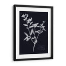 Impresiones En Indigo Iii - Vision Studio | Cuadro decorativo de Canvas Lab