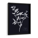 Impresiones En Indigo Iii - Vision Studio | Cuadro decorativo de Canvas Lab