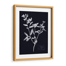 Impresiones En Indigo Iii - Vision Studio | Cuadro decorativo de Canvas Lab