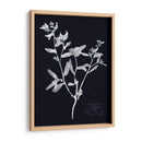 Impresiones En Indigo Iii - Vision Studio | Cuadro decorativo de Canvas Lab