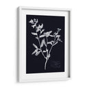 Impresiones En Indigo Iii - Vision Studio | Cuadro decorativo de Canvas Lab