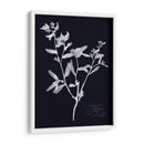 Impresiones En Indigo Iii - Vision Studio | Cuadro decorativo de Canvas Lab