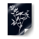 Impresiones En Indigo Iii - Vision Studio | Cuadro decorativo de Canvas Lab