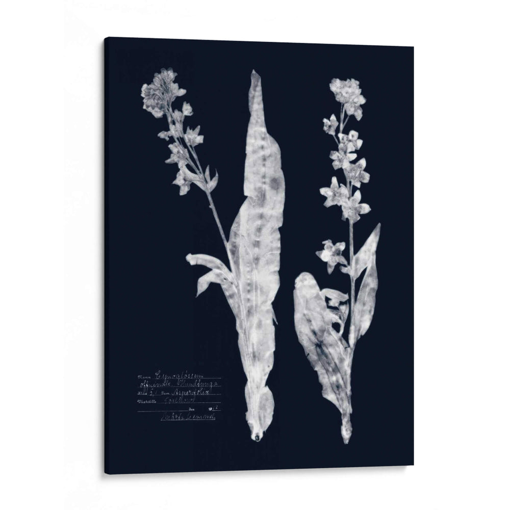 Impresiones En Indigo Iv - Vision Studio | Cuadro decorativo de Canvas Lab