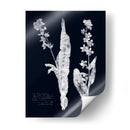 Impresiones En Indigo Iv - Vision Studio | Cuadro decorativo de Canvas Lab