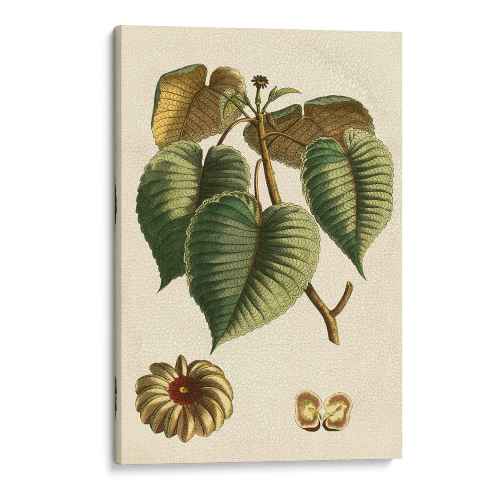 Pequeño Follaje Estacional I - Vision Studio | Cuadro decorativo de Canvas Lab