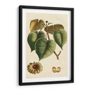 Pequeño Follaje Estacional I - Vision Studio | Cuadro decorativo de Canvas Lab