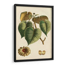 Pequeño Follaje Estacional I - Vision Studio | Cuadro decorativo de Canvas Lab